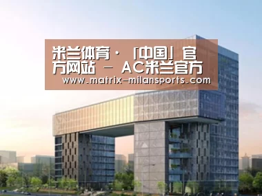 案例展示四