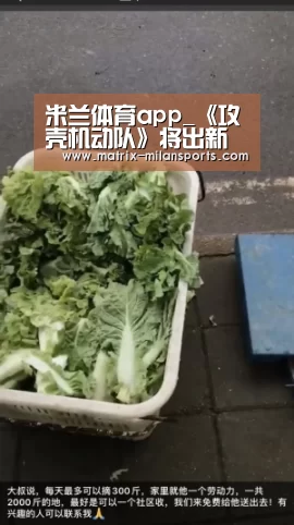 米兰app下载