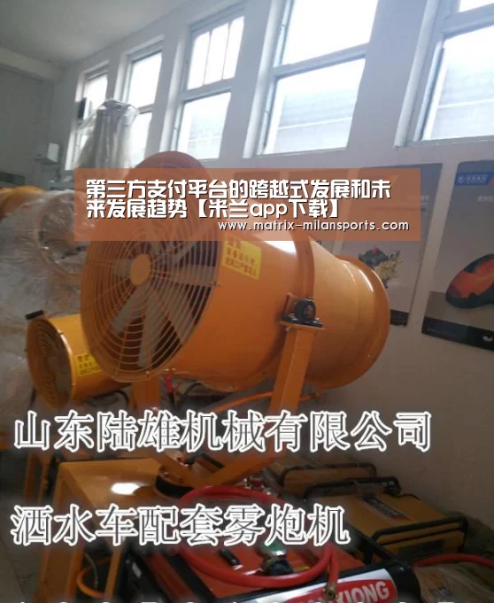 第三方支付平台的跨越式发展和未来发展趋势【米兰app下载】(图1) 米兰体育入口下载